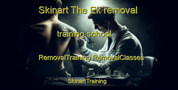 Skinart The Ek removal training school | #RemovalTraining #RemovalClasses #SkinartTraining-Sweden