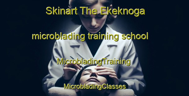 Skinart The Ekeknoga microblading training school | #MicrobladingTraining #MicrobladingClasses #SkinartTraining-Sweden