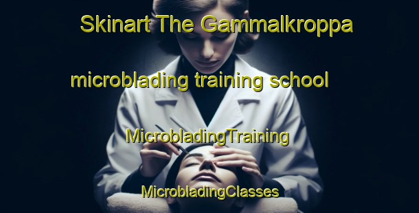 Skinart The Gammalkroppa microblading training school | #MicrobladingTraining #MicrobladingClasses #SkinartTraining-Sweden