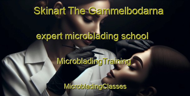 Skinart The Gammelbodarna expert microblading school | #MicrobladingTraining #MicrobladingClasses #SkinartTraining-Sweden