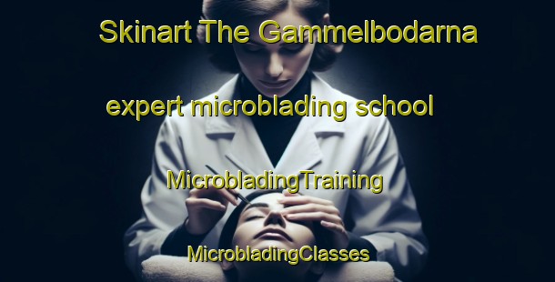 Skinart The Gammelbodarna expert microblading school | #MicrobladingTraining #MicrobladingClasses #SkinartTraining-Sweden