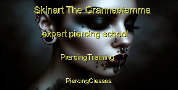 Skinart The Grannastamma expert piercing school | #PiercingTraining #PiercingClasses #SkinartTraining-Sweden