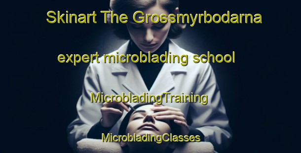 Skinart The Grossmyrbodarna expert microblading school | #MicrobladingTraining #MicrobladingClasses #SkinartTraining-Sweden