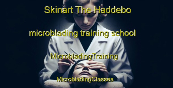 Skinart The Haddebo microblading training school | MicrobladingTraining | MicrobladingClasses | SkinartTraining-Sweden