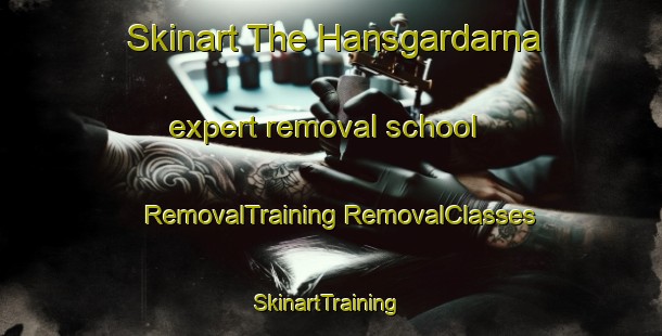 Skinart The Hansgardarna expert removal school | #RemovalTraining #RemovalClasses #SkinartTraining-Sweden