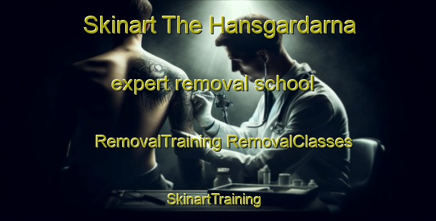 Skinart The Hansgardarna expert removal school | #RemovalTraining #RemovalClasses #SkinartTraining-Sweden