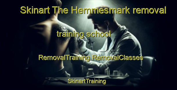 Skinart The Hemmesmark removal training school | #RemovalTraining #RemovalClasses #SkinartTraining-Sweden