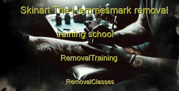 Skinart The Hemmesmark removal training school | RemovalTraining | RemovalClasses | SkinartTraining-Sweden