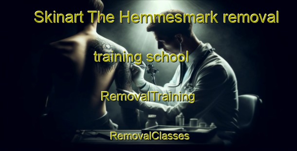 Skinart The Hemmesmark removal training school | RemovalTraining | RemovalClasses | SkinartTraining-Sweden