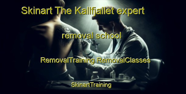 Skinart The Kallfjallet expert removal school | #RemovalTraining #RemovalClasses #SkinartTraining-Sweden