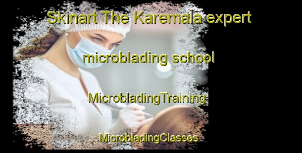 Skinart The Karemala expert microblading school | MicrobladingTraining | MicrobladingClasses | SkinartTraining-Sweden