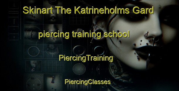 Skinart The Katrineholms Gard piercing training school | PiercingTraining | PiercingClasses | SkinartTraining-Sweden