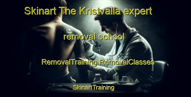 Skinart The Kristvalla expert removal school | #RemovalTraining #RemovalClasses #SkinartTraining-Sweden