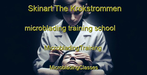 Skinart The Krokstrommen microblading training school | #MicrobladingTraining #MicrobladingClasses #SkinartTraining-Sweden