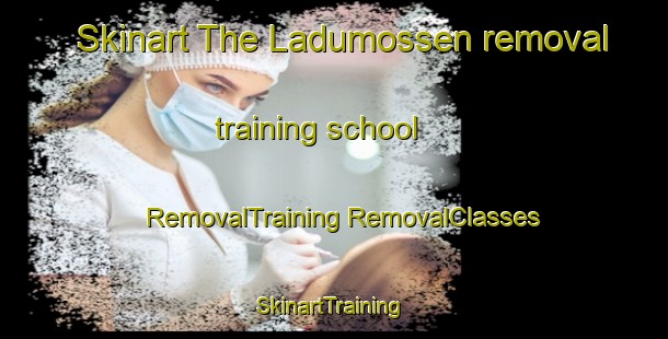 Skinart The Ladumossen removal training school | #RemovalTraining #RemovalClasses #SkinartTraining-Sweden