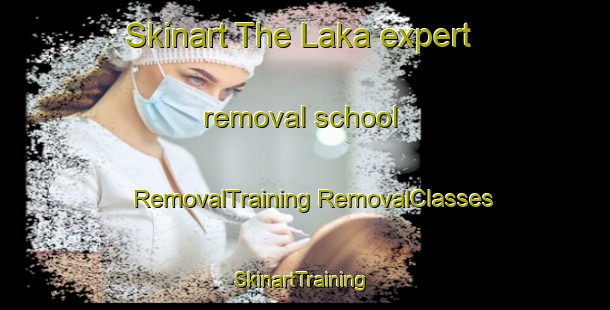 Skinart The Laka expert removal school | #RemovalTraining #RemovalClasses #SkinartTraining-Sweden