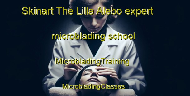 Skinart The Lilla Alebo expert microblading school | MicrobladingTraining | MicrobladingClasses | SkinartTraining-Sweden