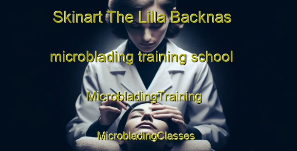 Skinart The Lilla Backnas microblading training school | MicrobladingTraining | MicrobladingClasses | SkinartTraining-Sweden