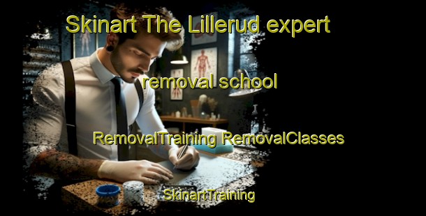 Skinart The Lillerud expert removal school | #RemovalTraining #RemovalClasses #SkinartTraining-Sweden