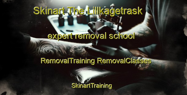 Skinart The Lillkagetrask expert removal school | #RemovalTraining #RemovalClasses #SkinartTraining-Sweden