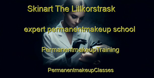 Skinart The Lillkorstrask expert permanentmakeup school | #PermanentmakeupTraining #PermanentmakeupClasses #SkinartTraining-Sweden