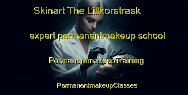 Skinart The Lillkorstrask expert permanentmakeup school | PermanentmakeupTraining | PermanentmakeupClasses | SkinartTraining-Sweden