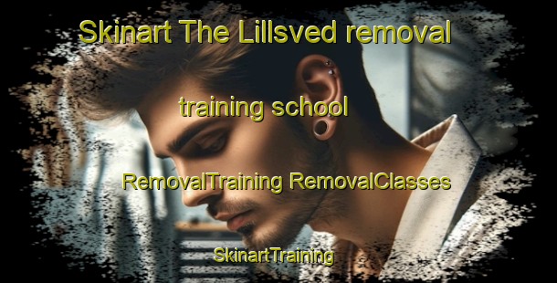 Skinart The Lillsved removal training school | #RemovalTraining #RemovalClasses #SkinartTraining-Sweden