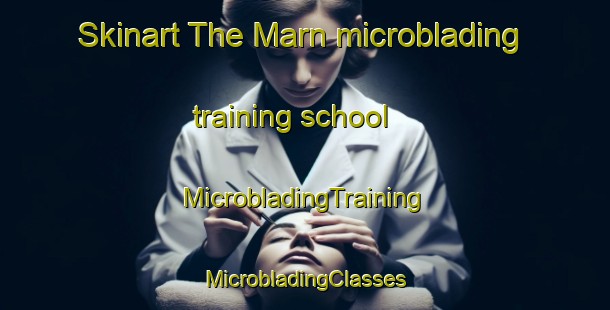 Skinart The Marn microblading training school | #MicrobladingTraining #MicrobladingClasses #SkinartTraining-Sweden