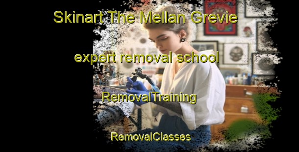 Skinart The Mellan Grevie expert removal school | RemovalTraining | RemovalClasses | SkinartTraining-Sweden