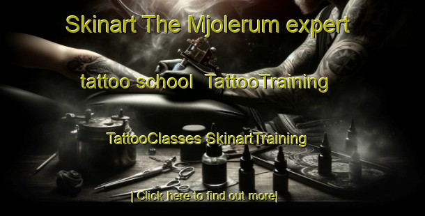 Skinart The Mjolerum expert tattoo school | #TattooTraining #TattooClasses #SkinartTraining-Sweden