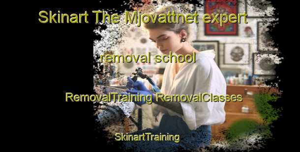 Skinart The Mjovattnet expert removal school | #RemovalTraining #RemovalClasses #SkinartTraining-Sweden