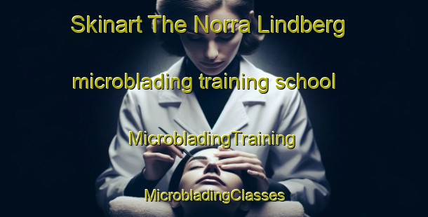 Skinart The Norra Lindberg microblading training school | #MicrobladingTraining #MicrobladingClasses #SkinartTraining-Sweden