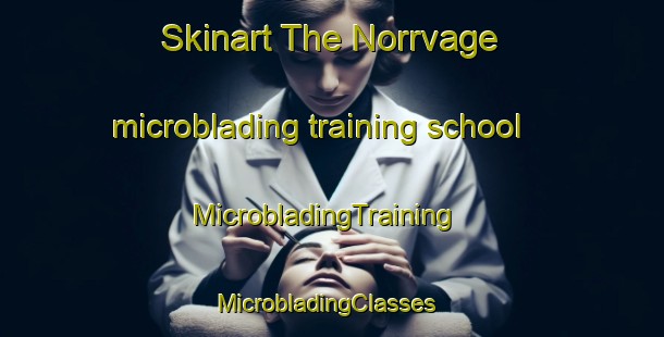 Skinart The Norrvage microblading training school | MicrobladingTraining | MicrobladingClasses | SkinartTraining-Sweden