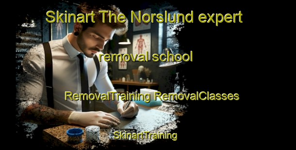 Skinart The Norslund expert removal school | #RemovalTraining #RemovalClasses #SkinartTraining-Sweden