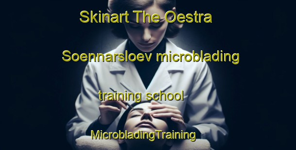 Skinart The Oestra Soennarsloev microblading training school | MicrobladingTraining | MicrobladingClasses | SkinartTraining-Sweden
