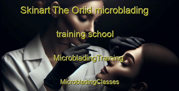 Skinart The Orlid microblading training school | #MicrobladingTraining #MicrobladingClasses #SkinartTraining-Sweden