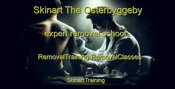 Skinart The Osterbyggeby expert removal school | #RemovalTraining #RemovalClasses #SkinartTraining-Sweden