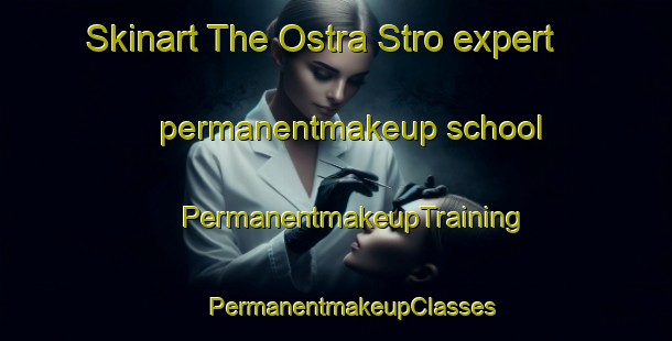 Skinart The Ostra Stro expert permanentmakeup school | #PermanentmakeupTraining #PermanentmakeupClasses #SkinartTraining-Sweden