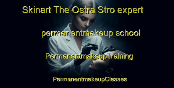 Skinart The Ostra Stro expert permanentmakeup school | PermanentmakeupTraining | PermanentmakeupClasses | SkinartTraining-Sweden