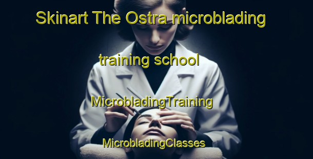Skinart The Ostra microblading training school | MicrobladingTraining | MicrobladingClasses | SkinartTraining-Sweden