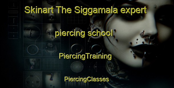 Skinart The Siggamala expert piercing school | #PiercingTraining #PiercingClasses #SkinartTraining-Sweden