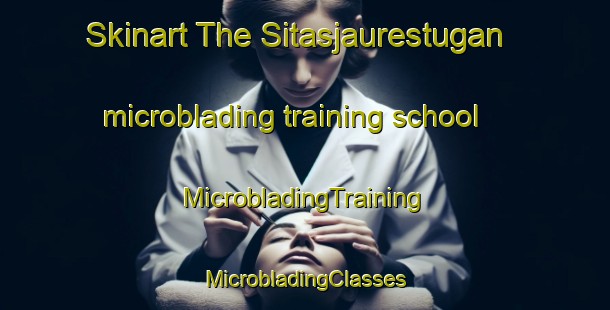 Skinart The Sitasjaurestugan microblading training school | #MicrobladingTraining #MicrobladingClasses #SkinartTraining-Sweden