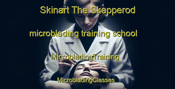 Skinart The Skapperod microblading training school | MicrobladingTraining | MicrobladingClasses | SkinartTraining-Sweden