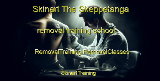 Skinart The Skeppetanga removal training school | #RemovalTraining #RemovalClasses #SkinartTraining-Sweden