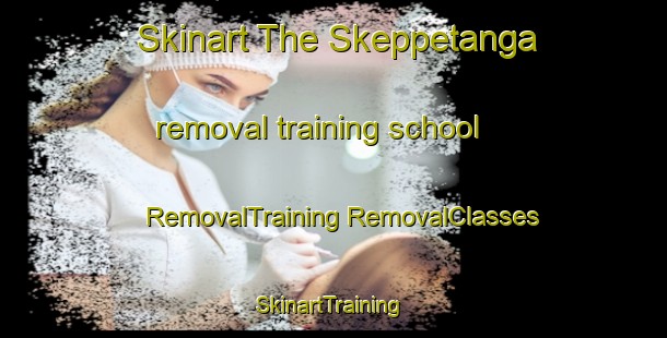 Skinart The Skeppetanga removal training school | #RemovalTraining #RemovalClasses #SkinartTraining-Sweden