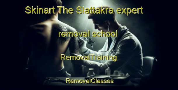Skinart The Slattakra expert removal school | RemovalTraining | RemovalClasses | SkinartTraining-Sweden