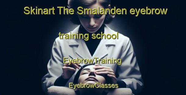 Skinart The Smalanden eyebrow training school | EyebrowTraining | EyebrowClasses | SkinartTraining-Sweden