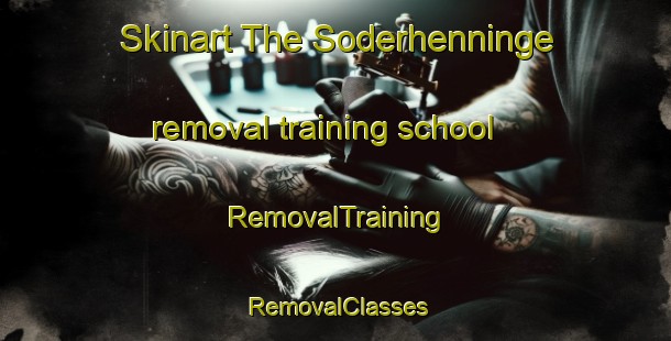 Skinart The Soderhenninge removal training school | RemovalTraining | RemovalClasses | SkinartTraining-Sweden