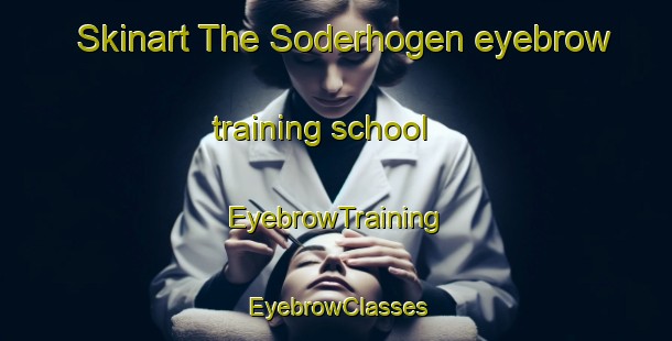 Skinart The Soderhogen eyebrow training school | EyebrowTraining | EyebrowClasses | SkinartTraining-Sweden