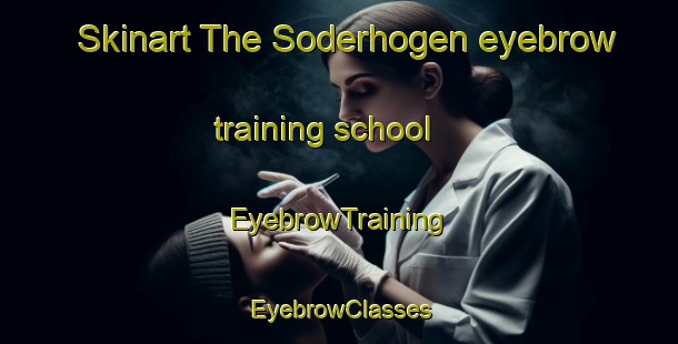 Skinart The Soderhogen eyebrow training school | EyebrowTraining | EyebrowClasses | SkinartTraining-Sweden